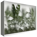 Modern Lightbox Decor With Green Plant Leaves For Stylish Home Interior Design