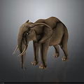 Realistic 3D Brown Elephant With Tusks Standing On Shiny Dark Floor