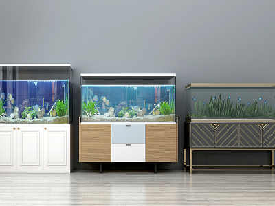 Modern fish tank model