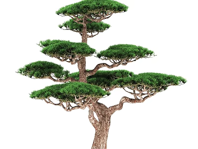 Elegant Tree With Lush Green Foliage Twisted Textured Trunk And Layered Branches 3d model