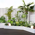 Lush Trees In Outdoor Garden With Green Plants White Lattice Walls And Planters