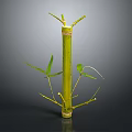 Fresh Green Bamboo Plant With Stalk Branches And Leaves Isolated On Dark Background