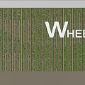 Natural Green Plant Background Wall With Wooden Stripes And Brand Logo WHEEL