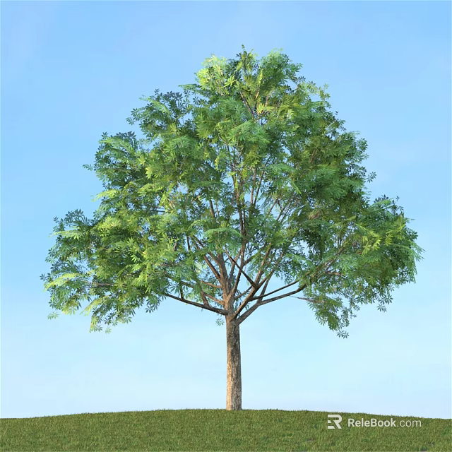 Tall Arbor With Lush Green Leaves And Brown Trunk Against Blue Sky 3d model 