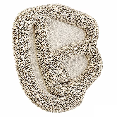 Unique Abstract Shaped Rug For Home Decor With Soft Texture 3d model