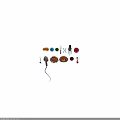 Colorful Microorganisms And Cell Structures With Various Shapes And Biological Forms