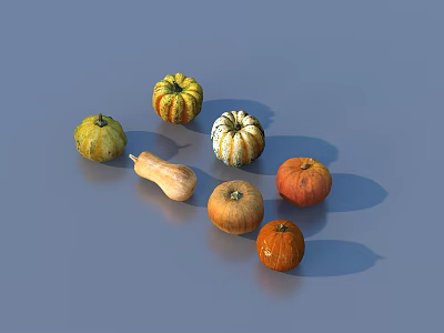 Vibrant Fresh Vegetables Featuring Various Colored Pumpkins in Different Shapes and Sizes 3d model