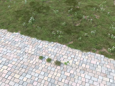 Small White Flowers Growing In Green Grass Along Colorful Brick Pathway 3d model