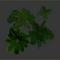 Various Green Plants in Metal Pots with Orange Stands on Grey Background