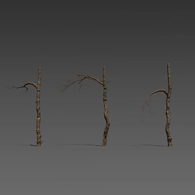 Dead tree branches 3d model