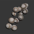 Fresh White And Brown Spotted Mushrooms In Cluster On Black Reflective Surface