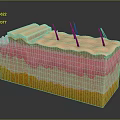 Detailed Anatomical Skin Structure Model With Colorful Layers And Hair Follicles