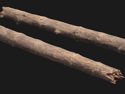 Natural Wood Logs With Rough Surface And Brown Texture On Black Background 3d model