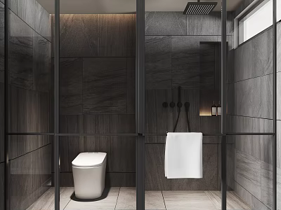 Modern Bathroom Interior Design With Gray Tile Walls Glass Partition White Toilet And Hanging Towel 3d model