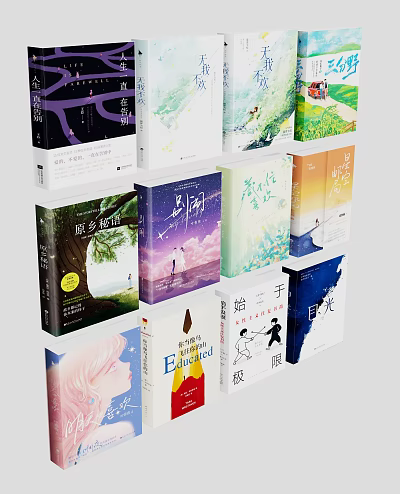 Various Book Covers With Diverse Design Styles And Colorful Artistic Illustrations 3d model