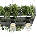 Modern Chandelier Design With Black Frame Glass Shades And Hanging Greenery Plants