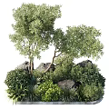 Lush Green Plants And Trees With Rocks In Natural Garden Setting