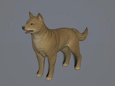The Modern Dog 3d model