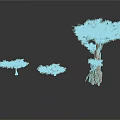 Three Trees One Tall and Two Small on White Background with Reflections on Ground