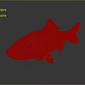 Whole Fresh Fish With Golden Brown Scales And Shiny Appearance Isolated On Dark Background