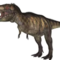 Tyrannosaurus Rex Reptile With Open Mouth Sharp Teeth And Striped Skin