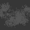 Tall Arbor with White Flowers and Brown Trunk Against Black Background