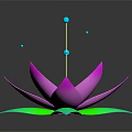 Vibrant Pink Lotus Shaped Flower With Green Leaves Blue Dots And Reflection On Dark Background