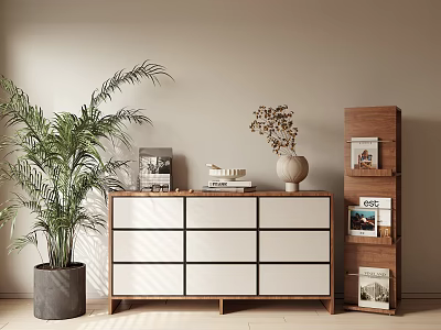 Modern Minimalist Console Table And Side Cabinet With Potted Plant Dried Flowers And Books 3d model