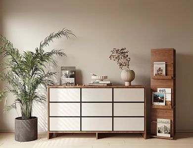 Low Cabinet Bucket Cabinet Decorative Cabinet Bookshelf Ornaments Potted Plant 3d model
