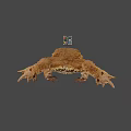 Game Movie Character Detailed Brown Toad With Colorful Cube 3D Render
