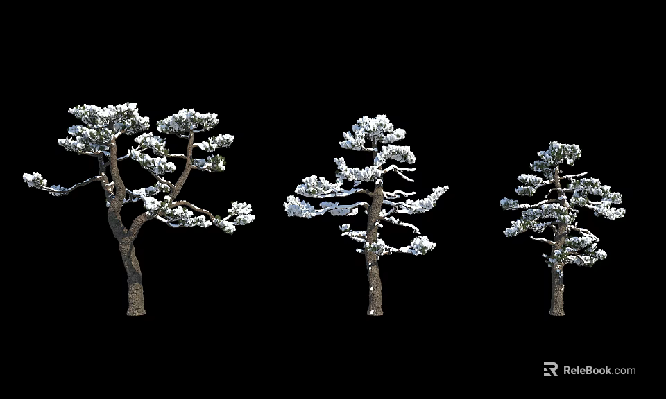Three Snow Covered Arbor Trees With Snow On Trunks And Branches 3d model 