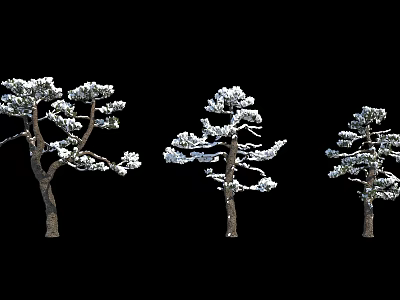 Three Snow Covered Arbor Trees With Snow On Trunks And Branches 3d model
