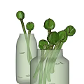 Fresh Green Flower Buds Arranged In Two Transparent Vases With Water