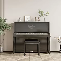 Black Piano and Picture Frame Decor with Green Plants and Small Ornaments in Modern Room