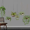 Various Hanging Trailing Green Plants with Macramé Planters Wooden Chair and White Wall
