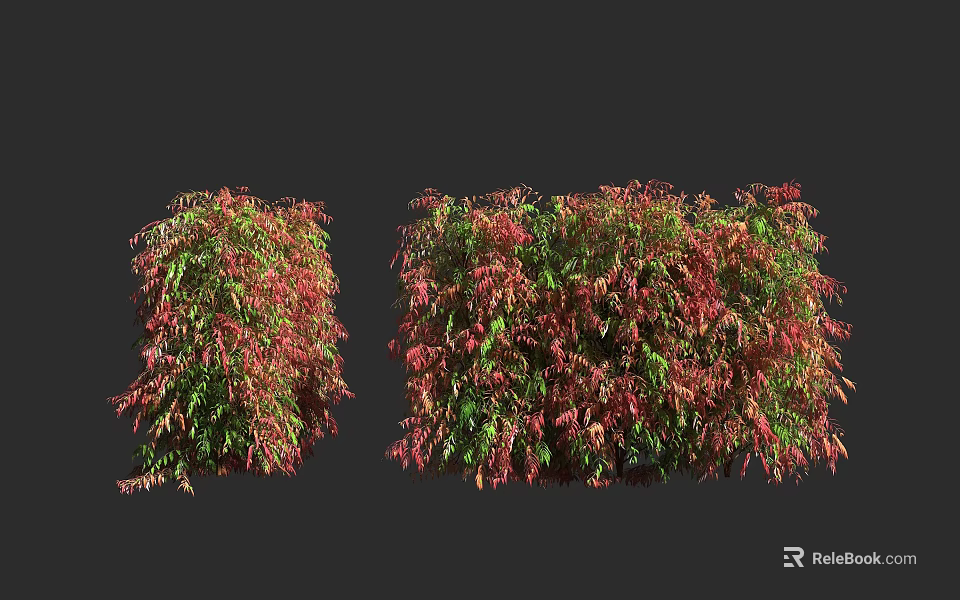 Lush Shrubs With Red And Green Leaves For Garden Landscape Decoration 3d model 