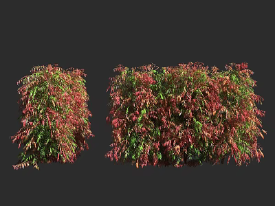 Lush Shrubs With Red And Green Leaves For Garden Landscape Decoration 3d model