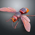 Red And Black Wasp With Transparent Wings Head Compound Eyes Antennae Legs On Dark Background
