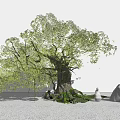 Modern Tree Landscape Tree 3d model