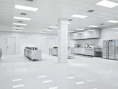 Commercial Restaurant Kitchen Interior With Stainless Steel Appliances Worktables And Storage Cabinets 3d model