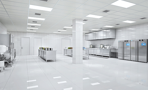 Modern Kitchen Hotel Kitchen 3d model