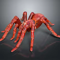 Red Spider With Detailed Body And Long Legs On Dark Background