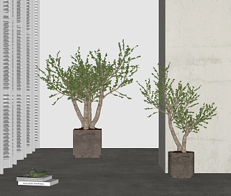 Modern potted plant combination 3d model