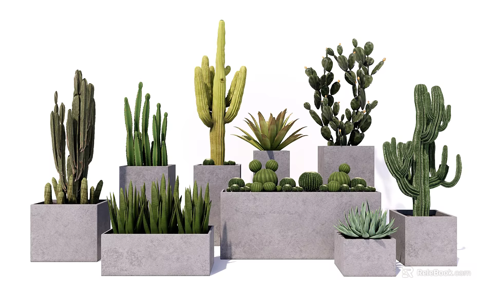 Cactus And Succulent Bonsai Plants In Grey Concrete Square Rectangular Pots 3d model