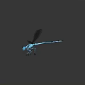 Modern Dragonfly Thin-winged Dragonfly Le Fairy Dragonfly Purple Red Dragonfly Black Lilly-winged Dragonfly Biwei Dragonfly 3d model