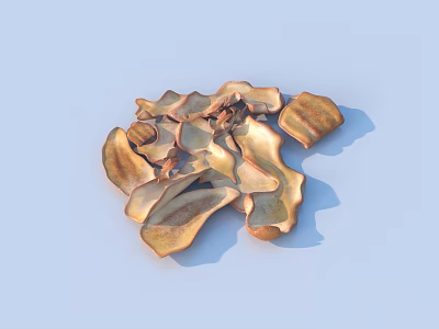 Natural Dried Wood Ear Mushrooms Healthy Organic Food Ingredient For Cooking 3d model