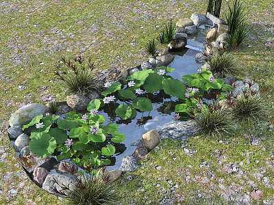 Natural Garden Water Fountain With Lotus Leaves Stones And Green Plants 3d model