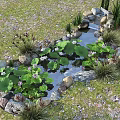 Natural Garden Water Fountain With Lotus Leaves Stones And Green Plants