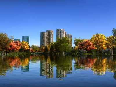 Waterfront Landscape with Calm Water Reflections Autumn Trees and High Rise Buildings Under Blue Sky 3d model