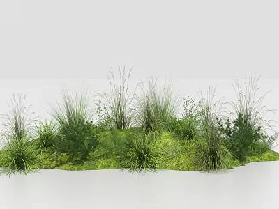 Floral Art Installation with Various Green Herbs and Natural Grasses for Modern Decoration 3d model